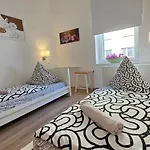 Elena Flat Orchidee Zentrum