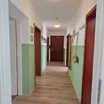 Elena Flat Orchidee Zentrum * Дуйсбург