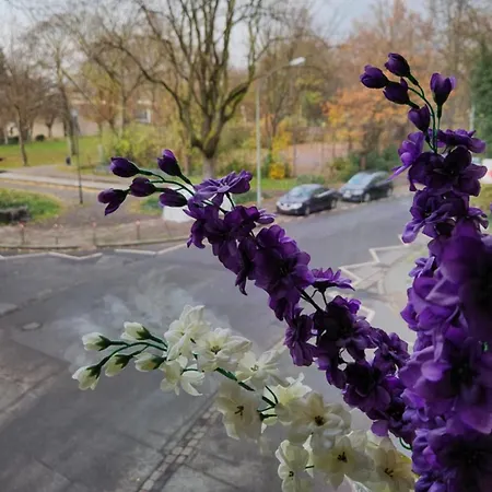 Elena Flat Orchidee Zentrum * Duisburg