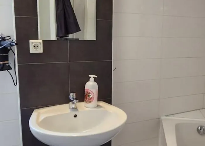 Elena Flat Orchidee Zentrum *