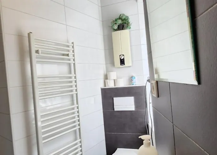 Elena Flat Orchidee Zentrum * Duisburg