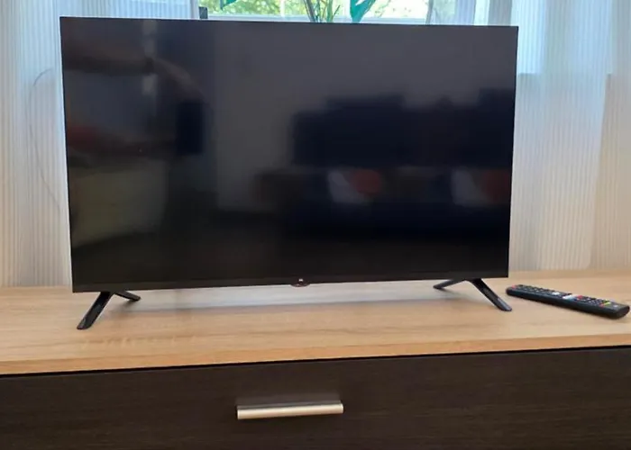 Elena Flat Orchidee Zentrum Duisburg