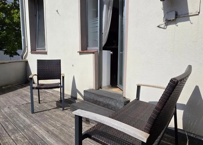 Elena Flat Orchidee Zentrum