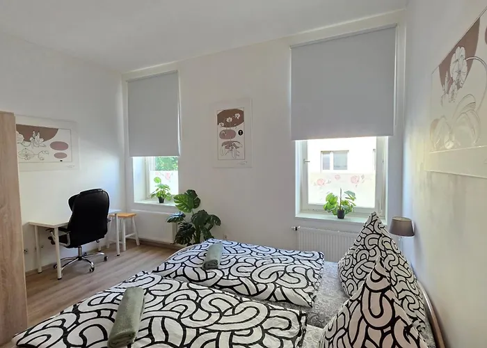 Elena Flat Orchidee Zentrum *