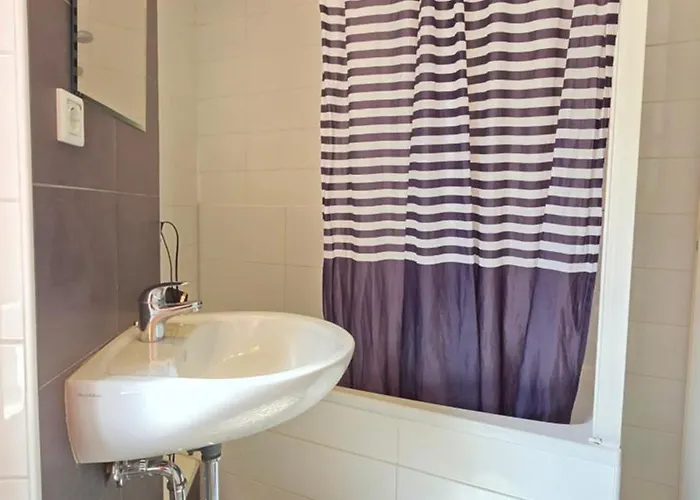 Elena Flat Orchidee Zentrum Duisburg