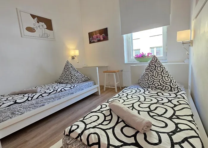 Elena Flat Orchidee Zentrum