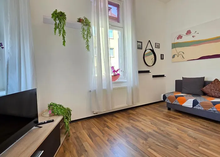 Elena Flat Orchidee Zentrum *