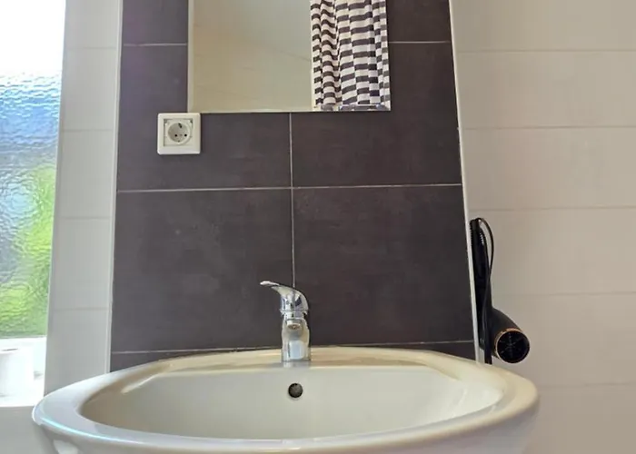 Elena Flat Orchidee Zentrum *