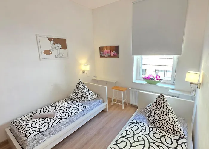 Elena Flat Orchidee Zentrum