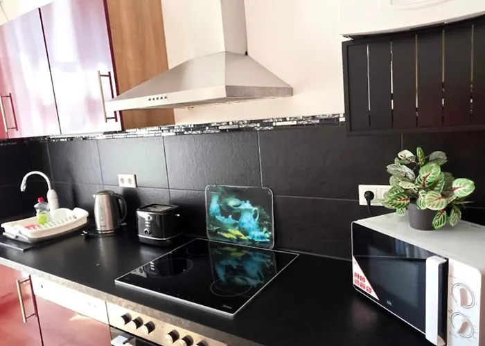 Elena Flat Orchidee Zentrum